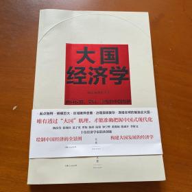 大国经济学：面向长期、全局、多维的中国发展（系统解读中国经济的通识之作，陆铭、杨汝岱等十位一流经济学家协力打造，构建理解当代中国发展的新常识）