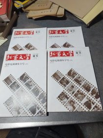 北京文学 2013增刊[1] 电影电视剧专刊专号(上下册)