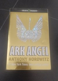 Ark Angel