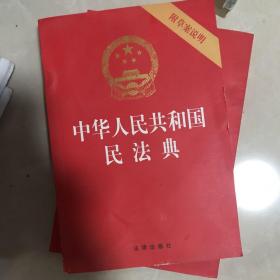 中华人民共和国民法典（32开压纹烫金附草案说明）2020年6月