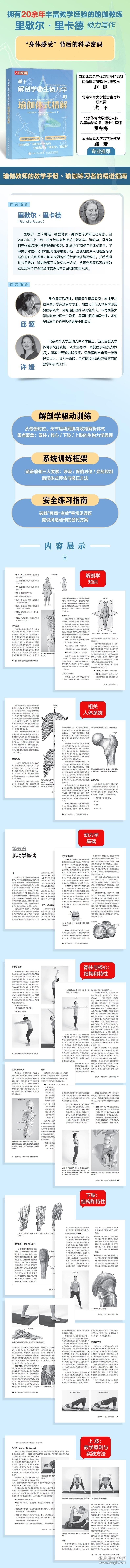 基于解剖学与生物力学的瑜伽体式精解