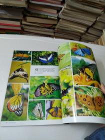 中国国家地理2006年12月