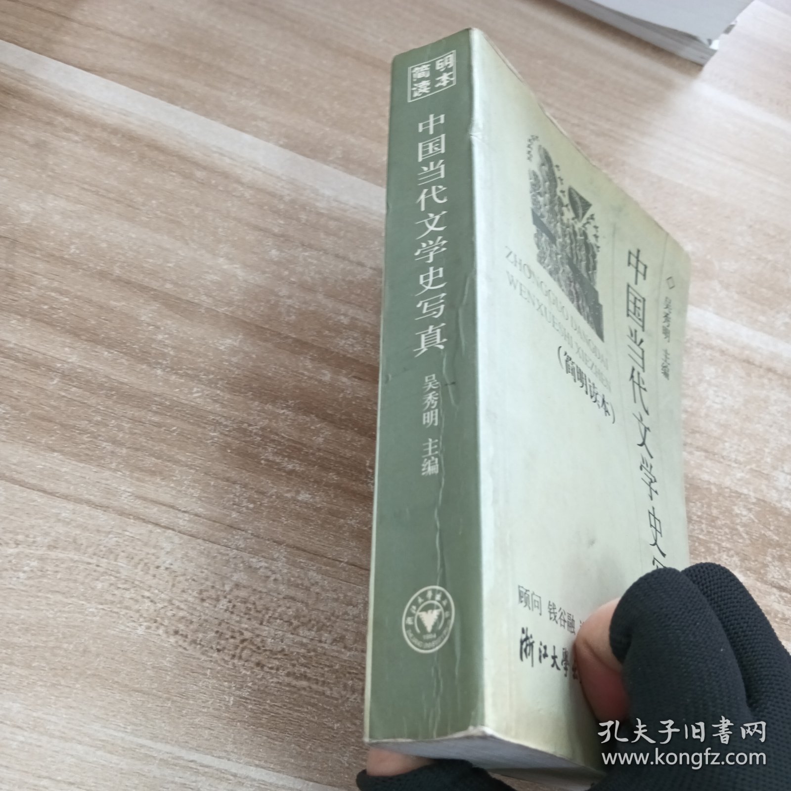 中国当代文学史写真