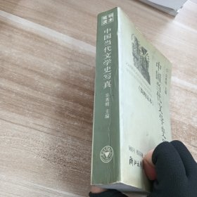 中国当代文学史写真