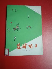 足球场上(插图本)