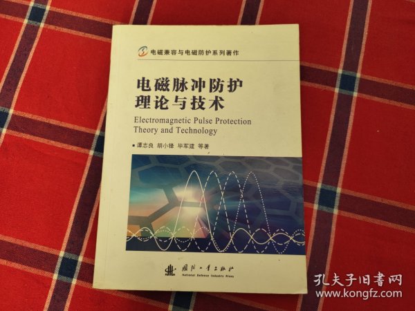 电磁兼容与电磁防护系列著作：电磁脉冲防护理论与技术