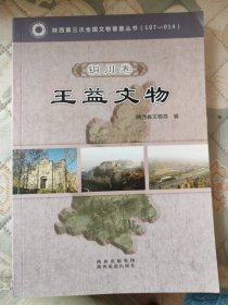 陕西省第三次全国文物普查丛书. 铜川卷. 王益文物