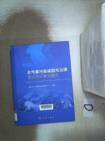 大气重污染成因与治理攻关项目研究报告