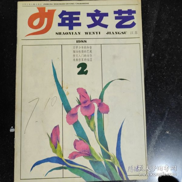 江苏版少年文艺1988年2，单本