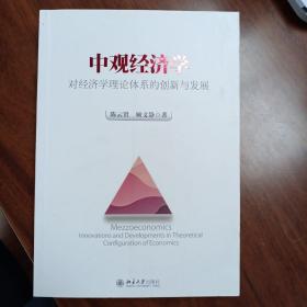 中观经济学——对经济学理论体系的创新与发展