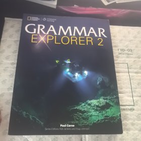 Grammar Explorer 2【内有笔记】