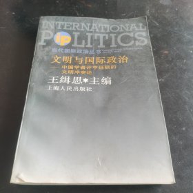 文明与国际政治:中国学者评亨廷顿的文明冲突论