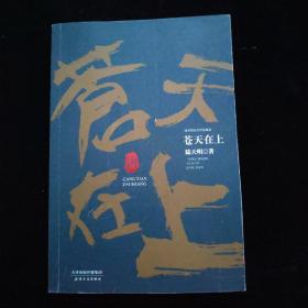 陆天明当代作品精选：苍天在上