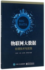 物联网大数据处理技术与实践