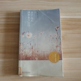 多少流光換取多少憂傷