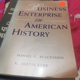 美国人 企业史第三版 BUINESS ENTERPRISE IN AMERICAN HISTORY