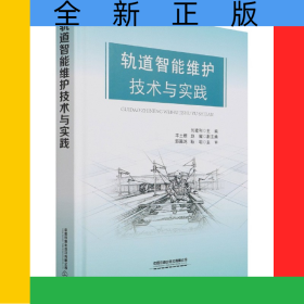 軌道智能維護(hù)技術(shù)與實(shí)踐(精)
