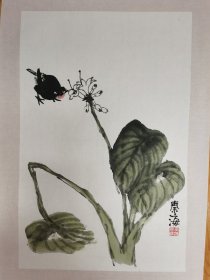 著名花鸟画家中国美术家协会会员秦海花鸟画出版精品