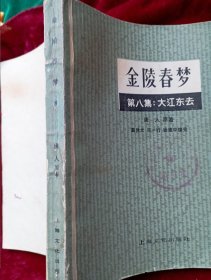 《金陵春梦》（第八集）8  大江东去【一版一印；】.