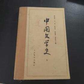 中国文学史（三