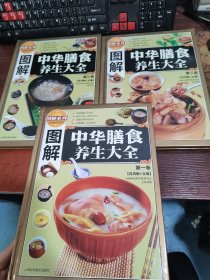 图解系列 图解中华膳食养生大全（全3册）