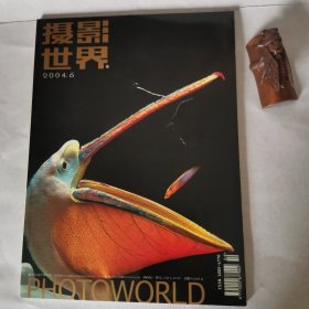 摄影世界200406
