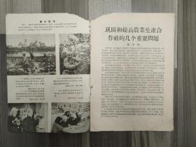 农村工作通讯 1956 创刊号