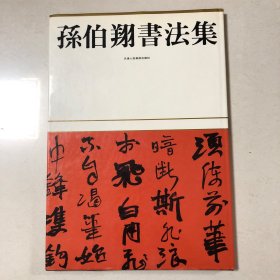 孙伯翔书法集（8开精装本）1995年一版一印