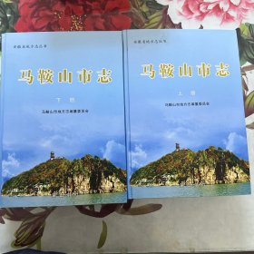 马鞍山市志上下册