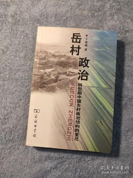 岳村政治：转型期中国乡村政治结构的变迁