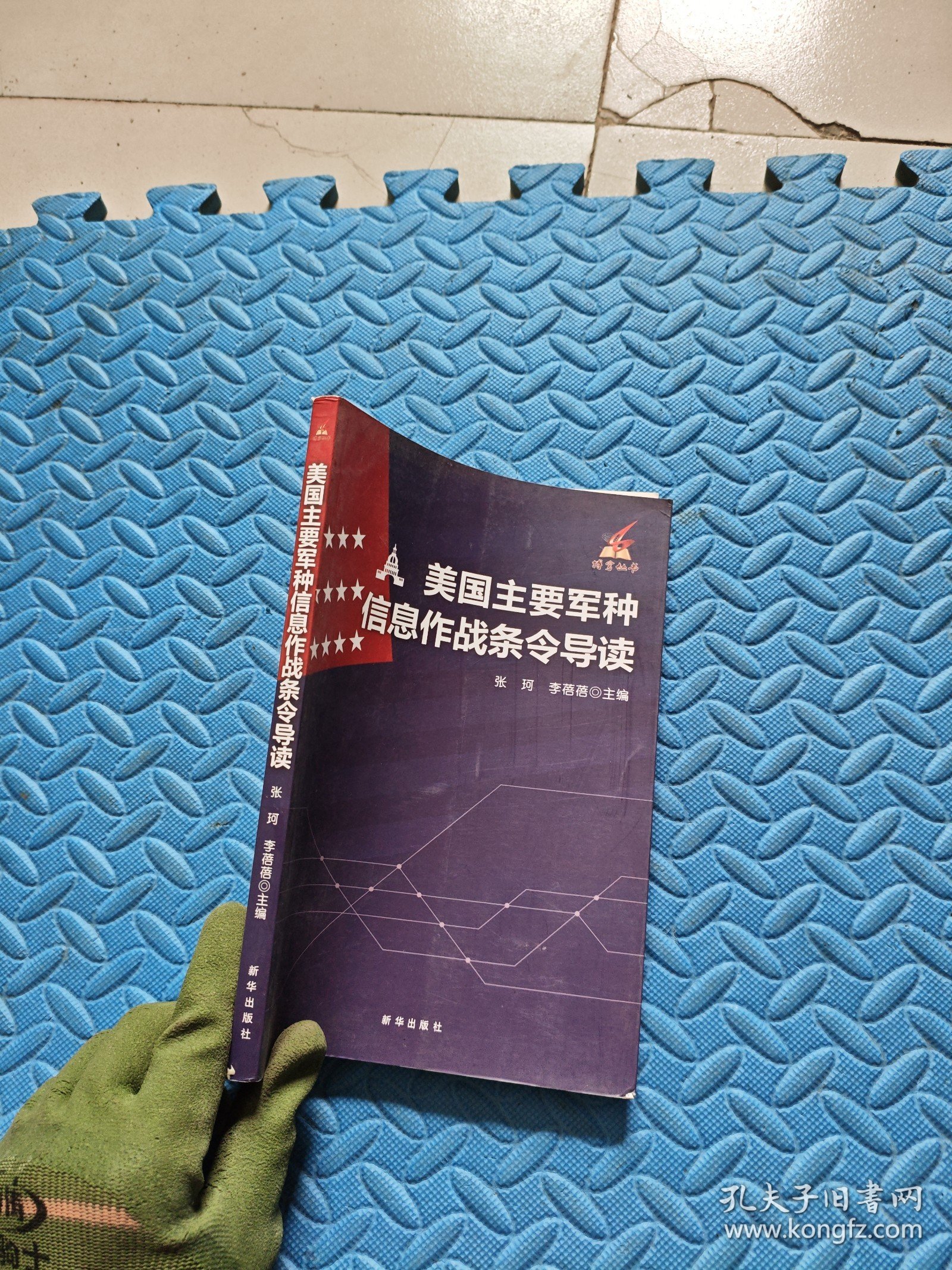 美国主要军种信息作战条令导读/搏穹丛书