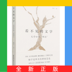 看不见的文学(文学如何理论)