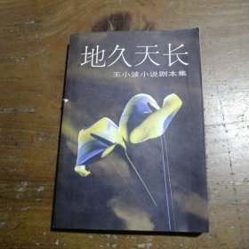 地久天长：王小波小说剧本集