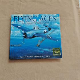 Flying Aces : Aviation Art Of World War 11