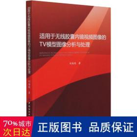 适用于无线胶囊内镜视频图像的TV模型图像分析与处理