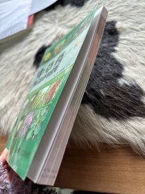 中草药辨识图谱与应用