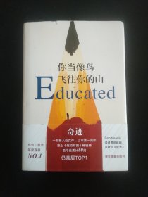 你当像鸟飞往你的山
