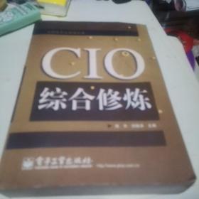 CIO综合修炼