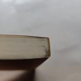 鞑靼征服中国史 鞑靼中国史 鞑靼战纪