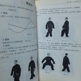 八卦掌技击与养生+八卦掌器械+形意拳+八卦掌...刘敬儒内家拳丛书四册合售