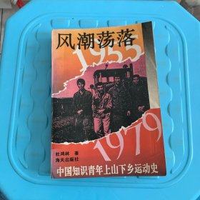 风潮荡落:1955-1979:中国知识青年上山下乡运动史