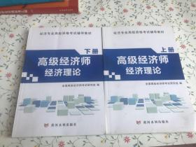 高级经济师资格考试2018年教材 高级经济师经济理论（上、下）册 全套2本 【有水印 不粘页 不少页】