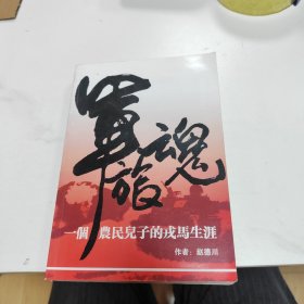 军魂；一个农民儿子的戎马生涯