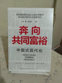 奔向共同富裕（读懂共同富裕，看清未来中国！深入浅出，雅俗共赏，两大TOP级智库联袂巨献，通俗理论重磅大作！）