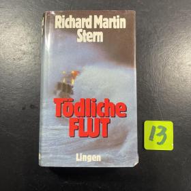 Richard Martin stern todliche flut外文原版