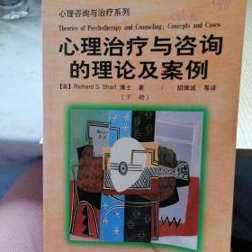 心理治疗与咨询的理论及案例下册