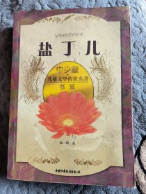中少版·儿童文学传世名著书系：盐丁儿