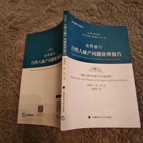 世界银行自然人破产问题处理报告(85品大32开2016年1版1印170页12万字)52036