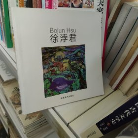 正版书籍 徐浡君 油画