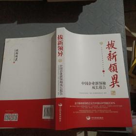 拔新领异 中国企业新领袖成长报告